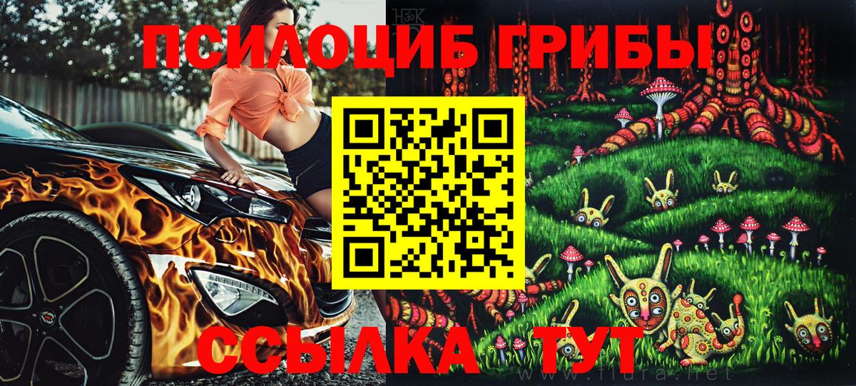 Галлюциногенные грибы Psilocybine cubensis Санкт-Петербург